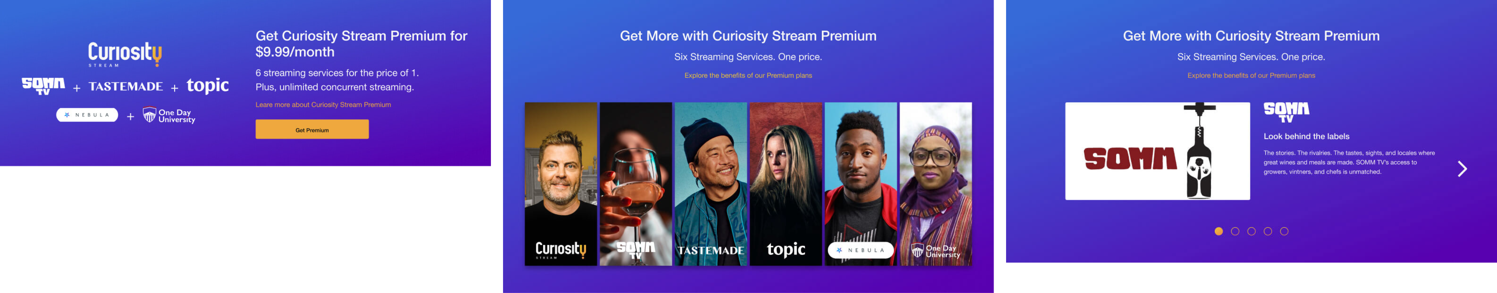 Premium Section Variants